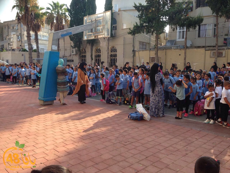 zhra2 iftehta7 (3).JPG